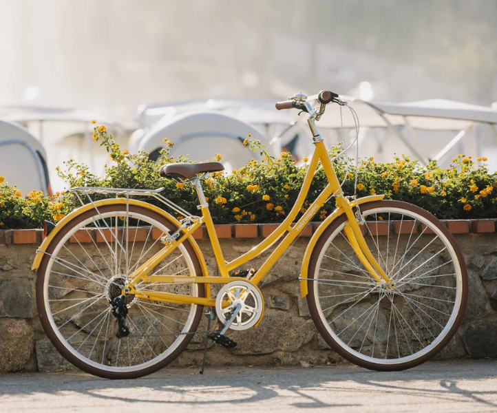 Beaumont City Bike