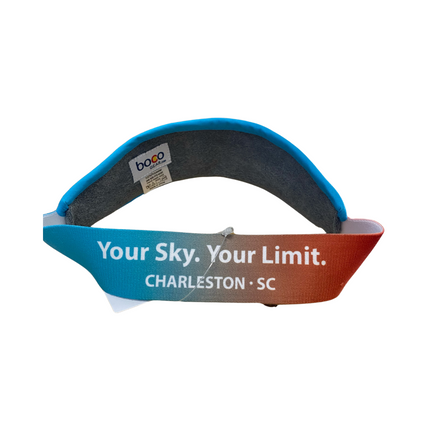 Blue Sky Endurance Visor
