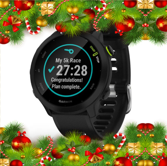 Holiday Garmin Forerunner 55