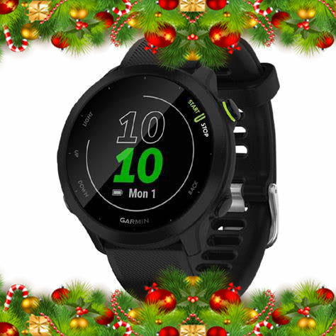 Holiday Garmin Forerunner 55