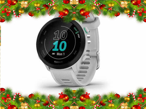 Holiday Garmin Forerunner 55