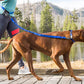 Stunt Runner Leash