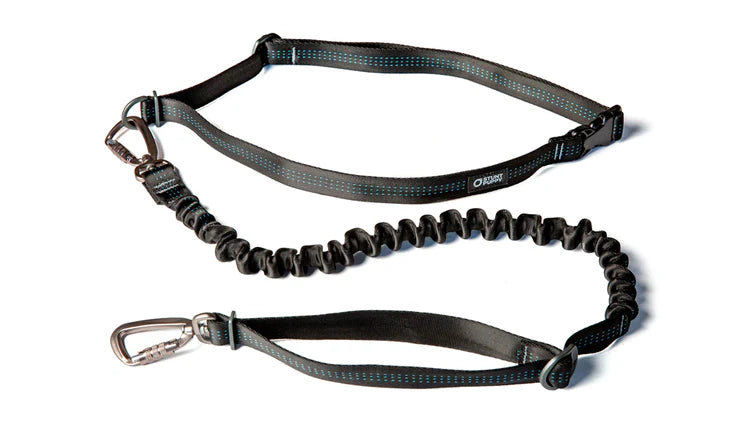 Stunt Runner Leash