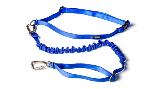 Stunt Runner Leash