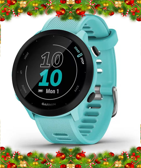 Holiday Garmin Forerunner 55