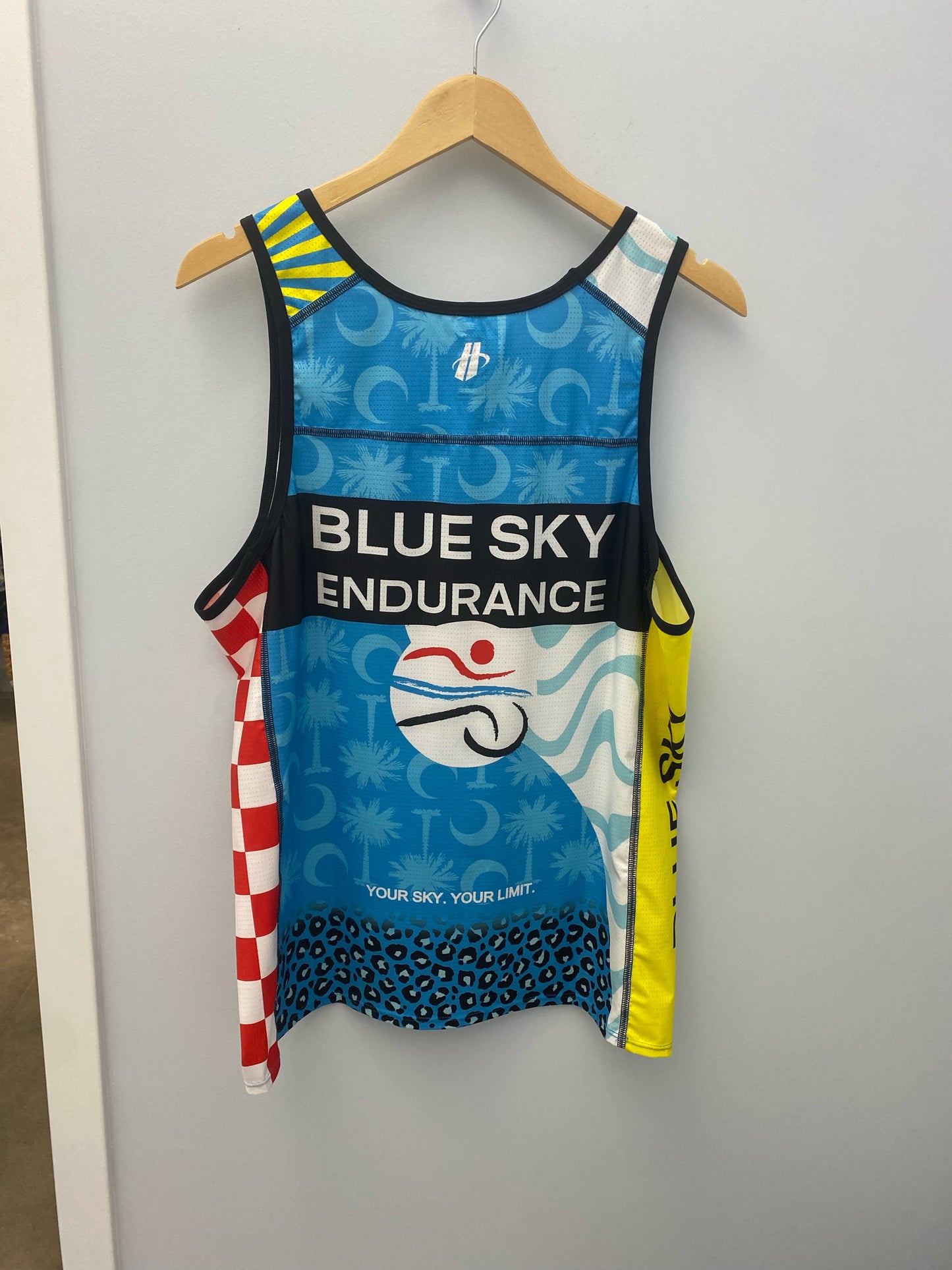 Men's Blue Sky Endurance Racing Singlet