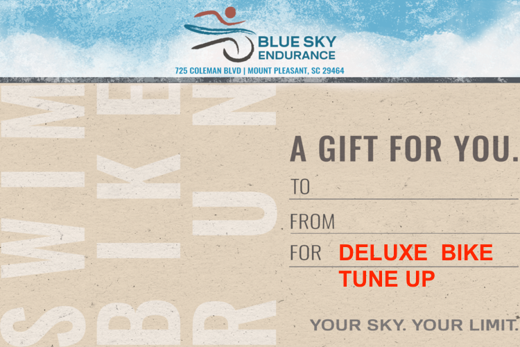 Deluxe Bike Tune Up Blue Sky Endurance