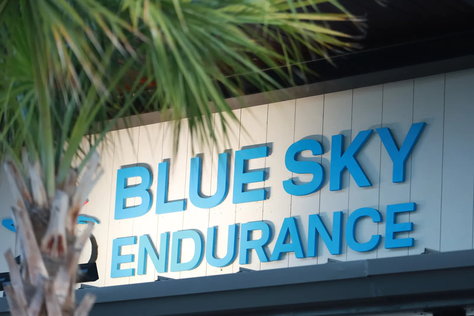 Blue Sky Endurance store sign framed by a palm tree