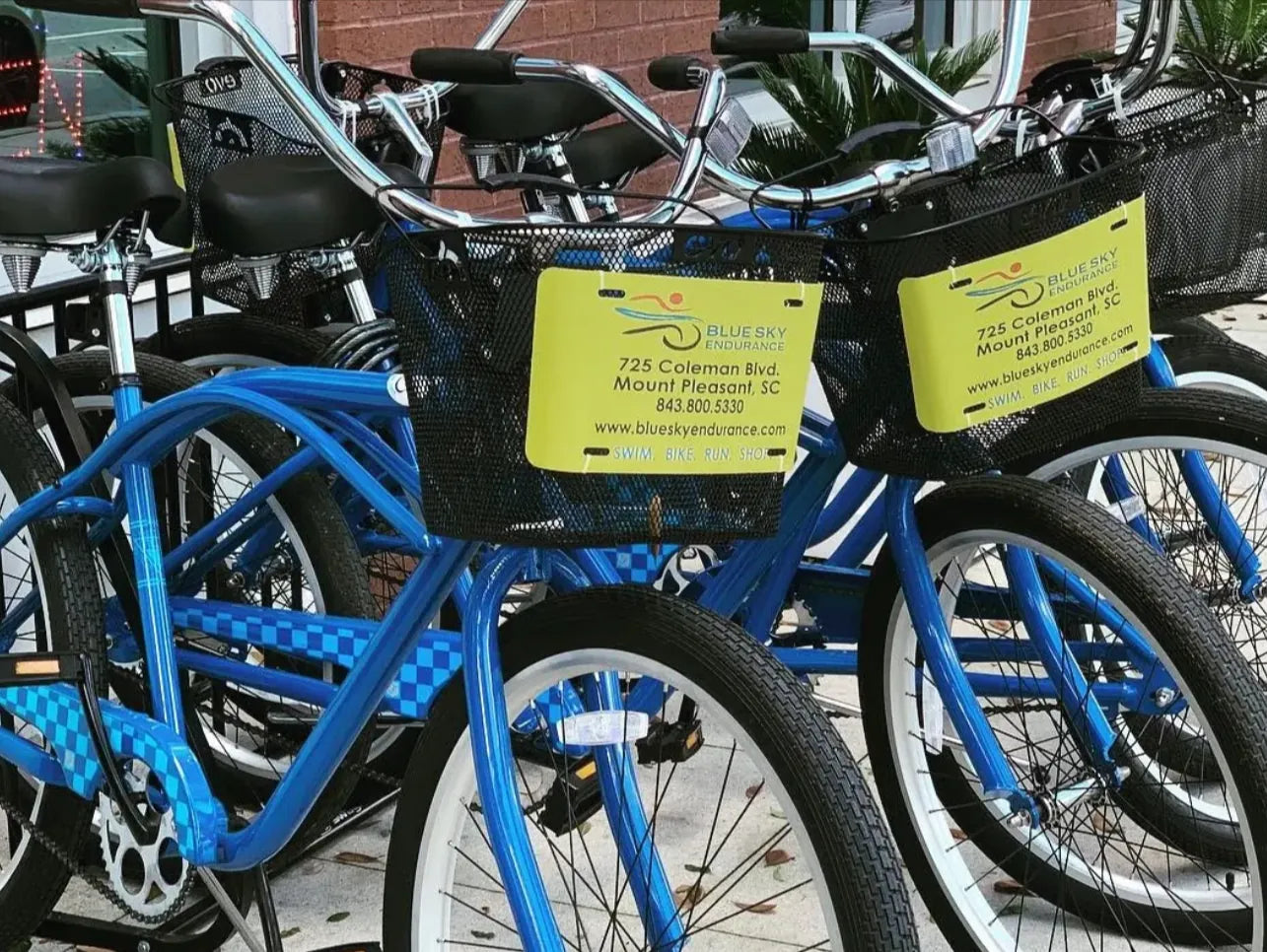 Retrospec beach cruiser bikes for sale outside the Blue Sky Endurance Coleman Blvd shop